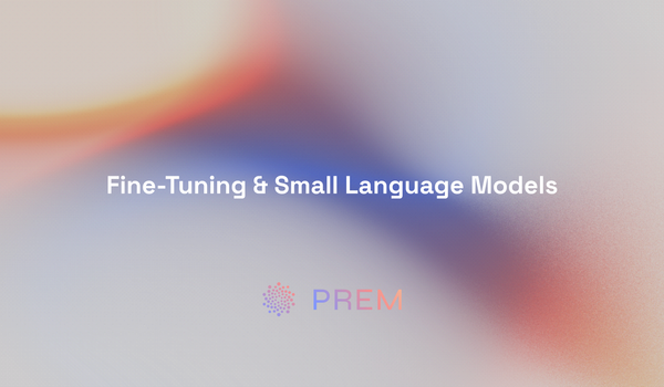 Fine-Tuning & Small Language Models